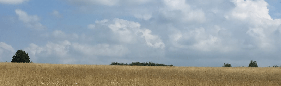 Hansard Transcript  – PMQs Green Belt Protection – 25th Jan 2023 