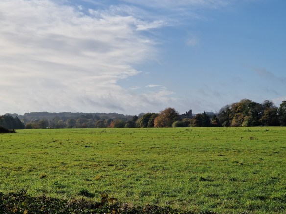 Epsom and Ewell Green Belt