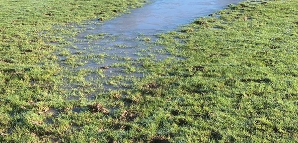 FAQ / Frequently Repeated Propaganda